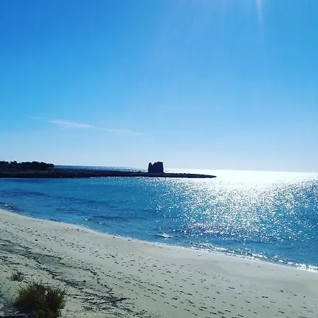 Azzurra Ταράντο